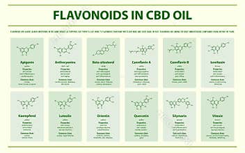 Flavonoid in CBD Oil with Structural Formulas horizontal infographic