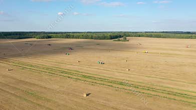 Combine Harvest Crop On Agricultural Field Tractors Collect Hay In Stacks Aerial