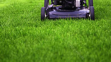 Lawn mower cutting green grass