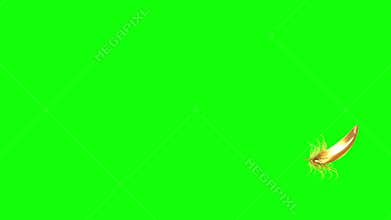 4K. Flying Golden Feather. Green Screen. Seamless Looping.