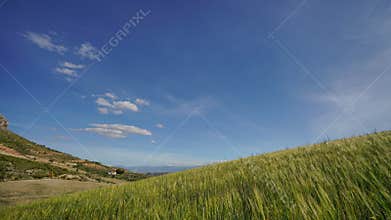 Clean and beautiful day in rural scene