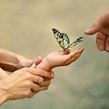 Familiy moment with butterfly