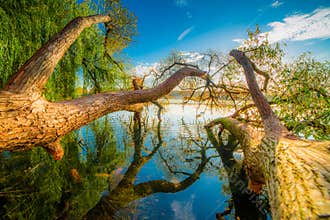 Scenic lake landscape