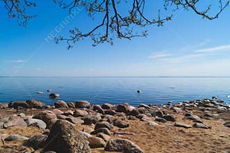 Bright blue sea. stones on the sandy shore. branch with leaves hanging from above. wavy water surface