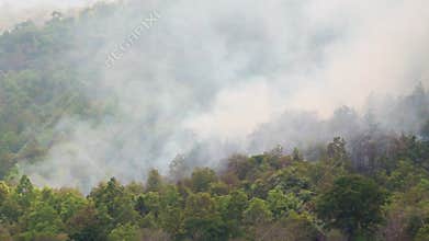Wildfire in mountain of thailandpan shot