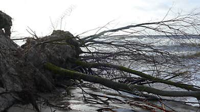 Winter Storm Affects Baltic Sea Coastal Erosion