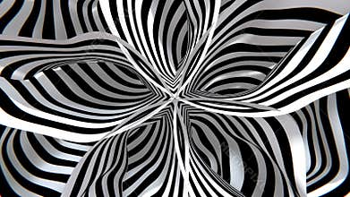 Black and White Visual