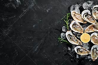 Oysters with ice and lemon on black stone background. Seafood.