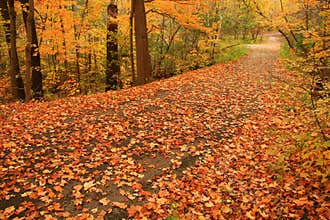Edward's Gardens in Toronto is a blaze of color on a quiet Autumn's day.