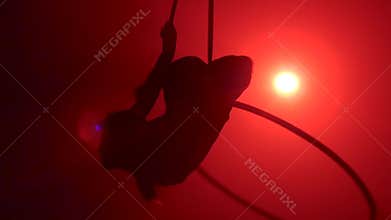 Silhouette Aerial acrobat in the ring. A young girl performs the acrobatic elements in the air ring on red background