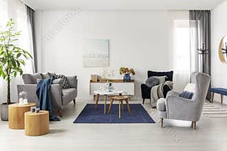 Grey and navy blue living room interior with comfortable sofa and armchairs