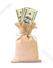 Money bag