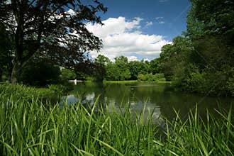 Green scenery