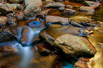 Tropical forest with stream waterfall