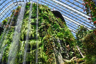 Indoor waterfall in Cloud Forest Dome at Gardens by the Bay, Singapore, Asia