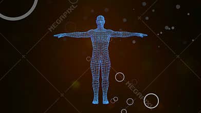 3D Avatar showing holographic projection of man body rotating in seamless loop.