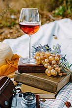 Glass of rose wine on a provencal style autumn picnic
