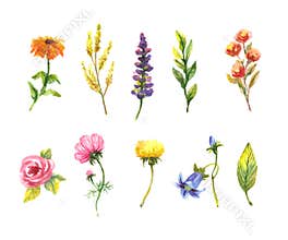 Vector floral set. Colorful floral collection with leaves and flowers, drawing watercolor. Spring or summer design for invitation