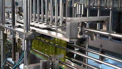 Olive oil in glass bottles moving on production line.
