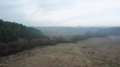 Aerial view flying over old patched two lane forest road with car moving green trees of dense woods growing both sides