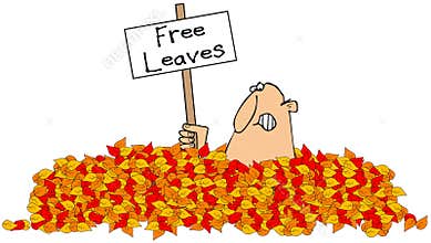 Too many fallen leaves