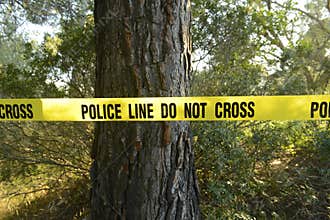 Crime scene in the forest