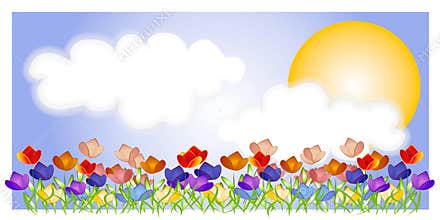 Tulip Garden Sky Sun Scene