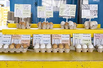 Eggs in Cartons for Sale in a Market