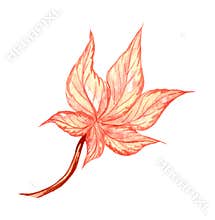 Bright, colorful autumn leaf. Watercolor fall illustration