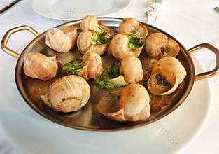 Escargot served