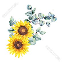 Watercolor sunflowers bouquet, hand painted sunflower bouquets, sunfower flower arrangement. Wedding invitation clipart elements.