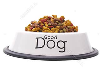 Good Dog Food