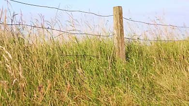 Encountering the little beauties in the countryside