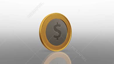 Gold with silver Dollar sign coin