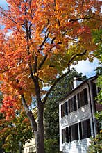 Georgetown Autumn