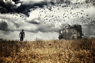 Man walking in a field