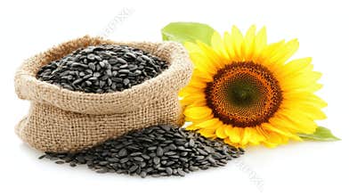 Sunflower Seeds & Bloom: A Burlap Sack Full of Black Seeds next to a Bright Yellow Flower
