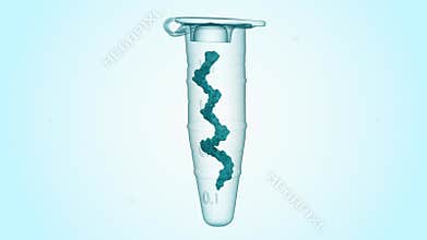 A 3d animation of Eppendorf tube containing RNA molecule.