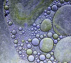 'Microcosm: Oil and Water Meet'