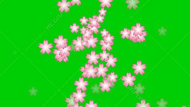 Animated Pink Rose Flower Fountain Clip Art