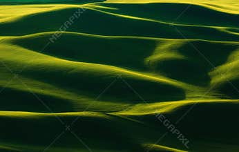 Morning Light on the Palouse, Washington state