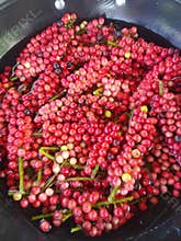 Buni fruit Buni fruit is a sour fruit but has many health benefits and is very delicious when made into rujak.