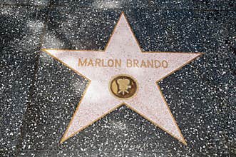 The star of Marlon Brando
