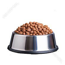 Dog food bowl filled with kibble on transparent background