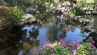 footage of a gorgeous spring landscape with a pond, lush green trees and flowers at Descanso Gardens La Canada Flintridge