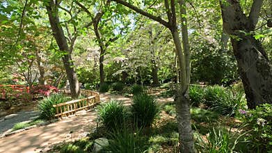 footage of an arched orange bridge over a river, lush green trees and flowers at Descanso Gardens La Canada Flintridge California