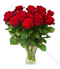Bouquet of blossoming dark red roses in vase