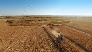 Harvester work on cornfield