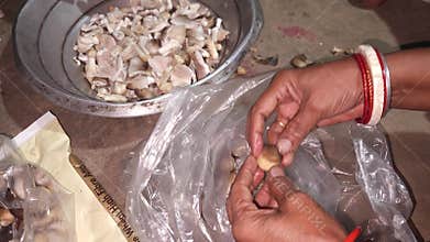 Close-up of hands cleaning fresh mushrooms for cooking, India