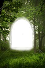 Forest frame